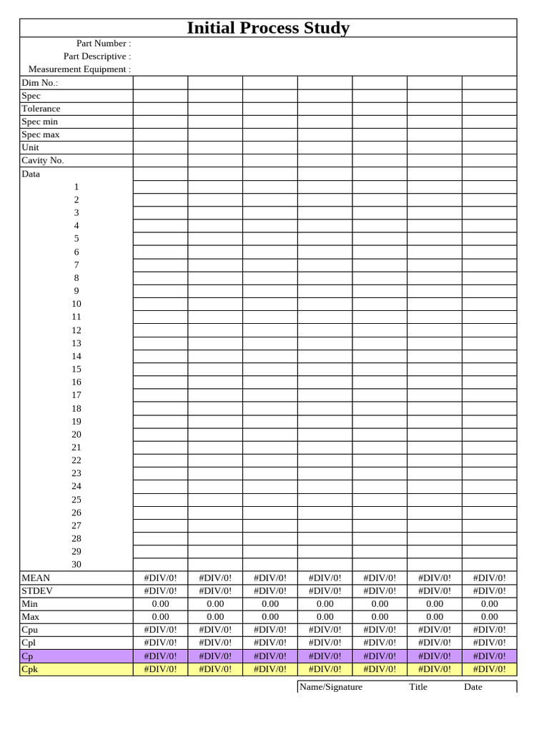 Initial Process Study Data Analysis | PDF