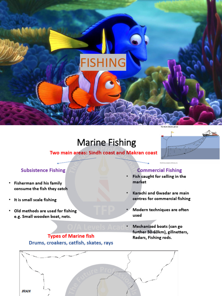 Fishing Techniques and Environmental Impact | PDF