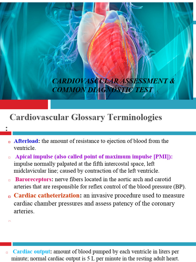 Cardiovascular Assessment Overview | PDF | Heart | Coronary Artery Disease
