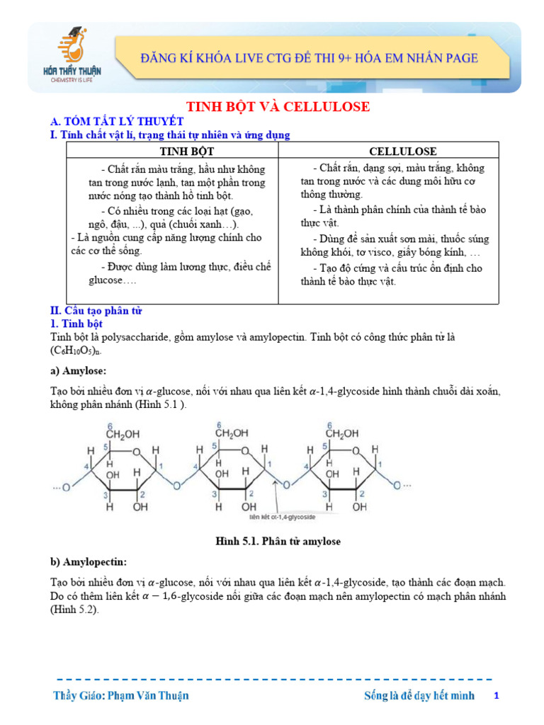3. Lí Thuyết Tính Bột Và Cellulose - 1 | PDF