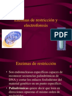 Enzimas de Restriccion