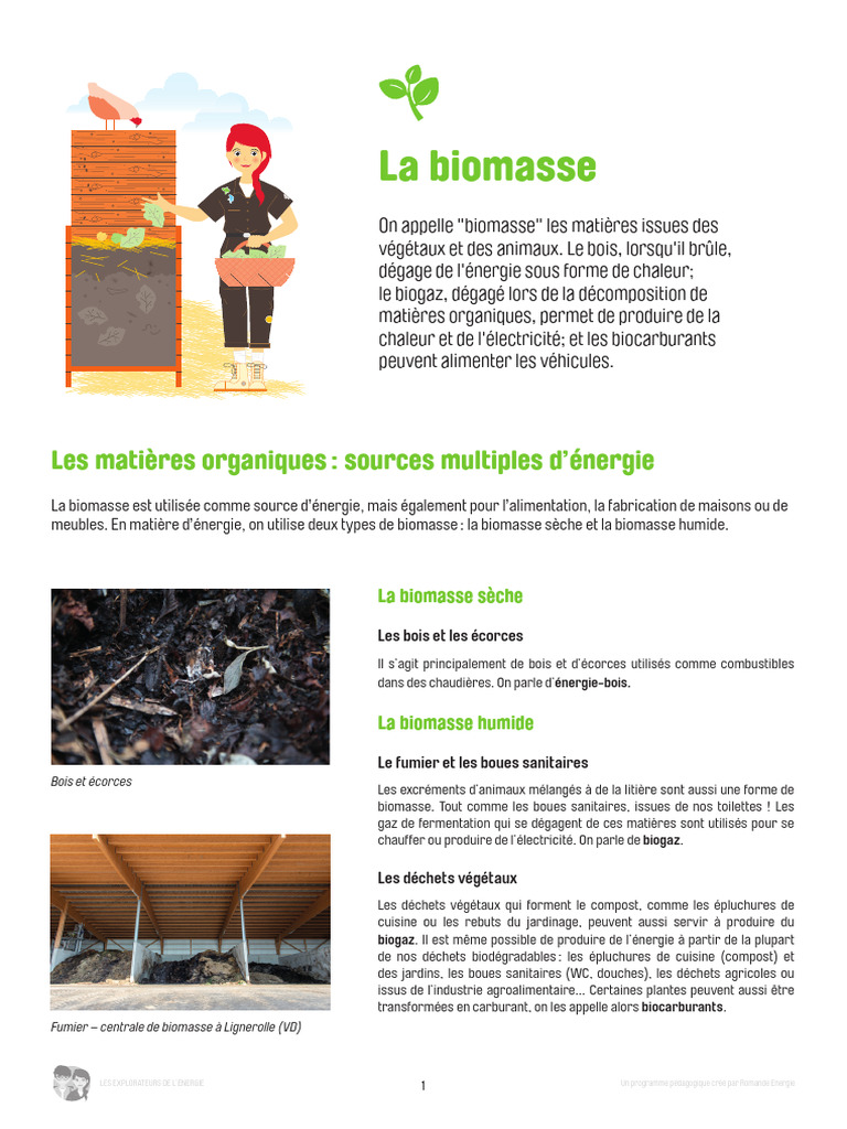 Énergie biomasse : sources et utilisations | PDF | Biomasse (énergie ...