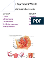 Anatomi Reproduksi Wanita