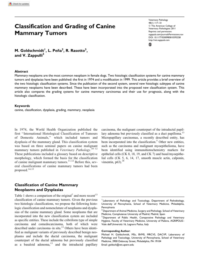 Canine Mammary Tumor Classification 2011 | PDF | Carcinoma | Epithelium