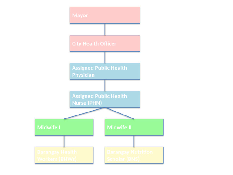 Public Health Roles and Responsibilities | PDF