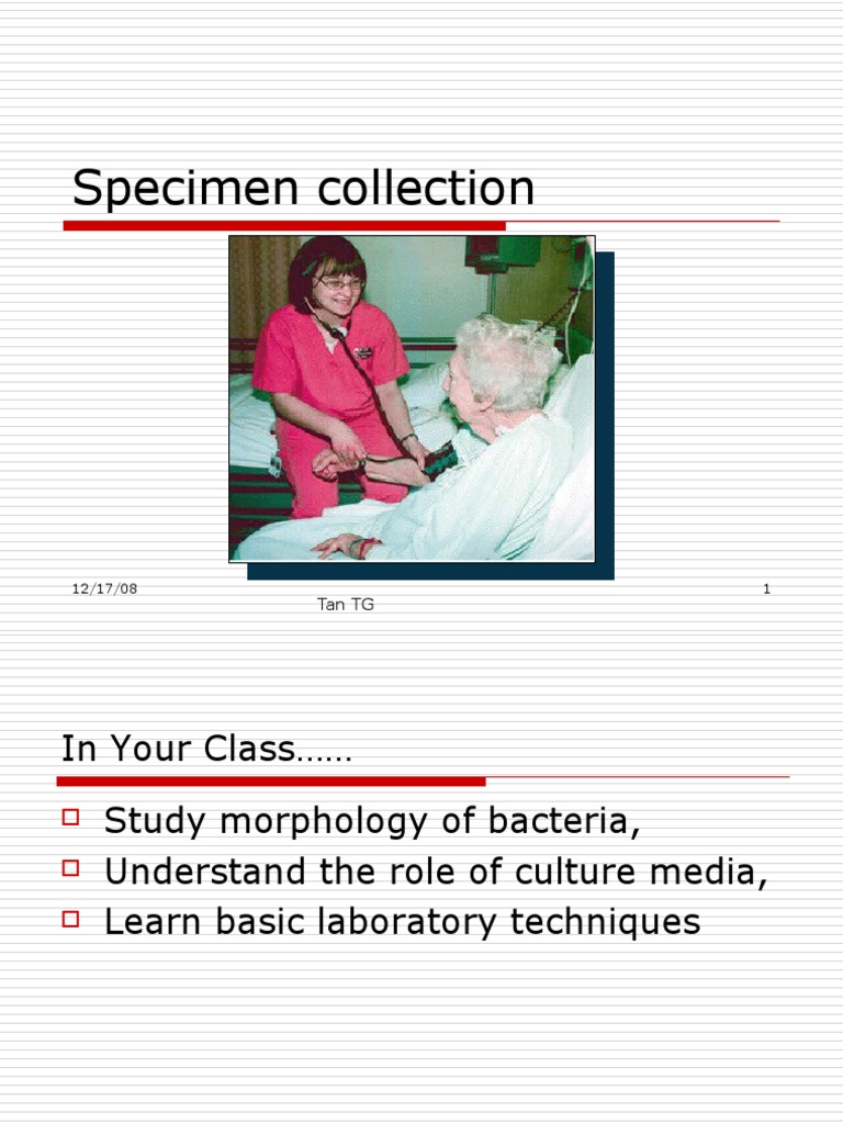 Specimen Collection PDF Bacteria Growth Medium