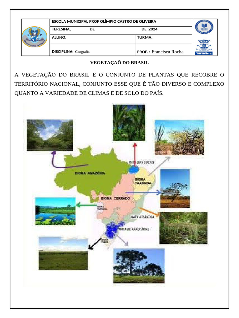 Atividade Adaptada - Vegetação Do Brasil | PDF