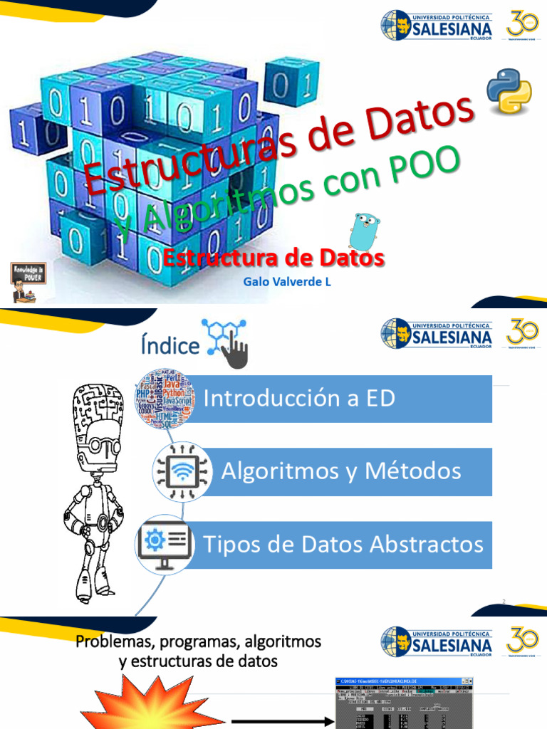 Estructuras de Datos y Algoritmos Con POO | PDF | Datos | Tipo de datos