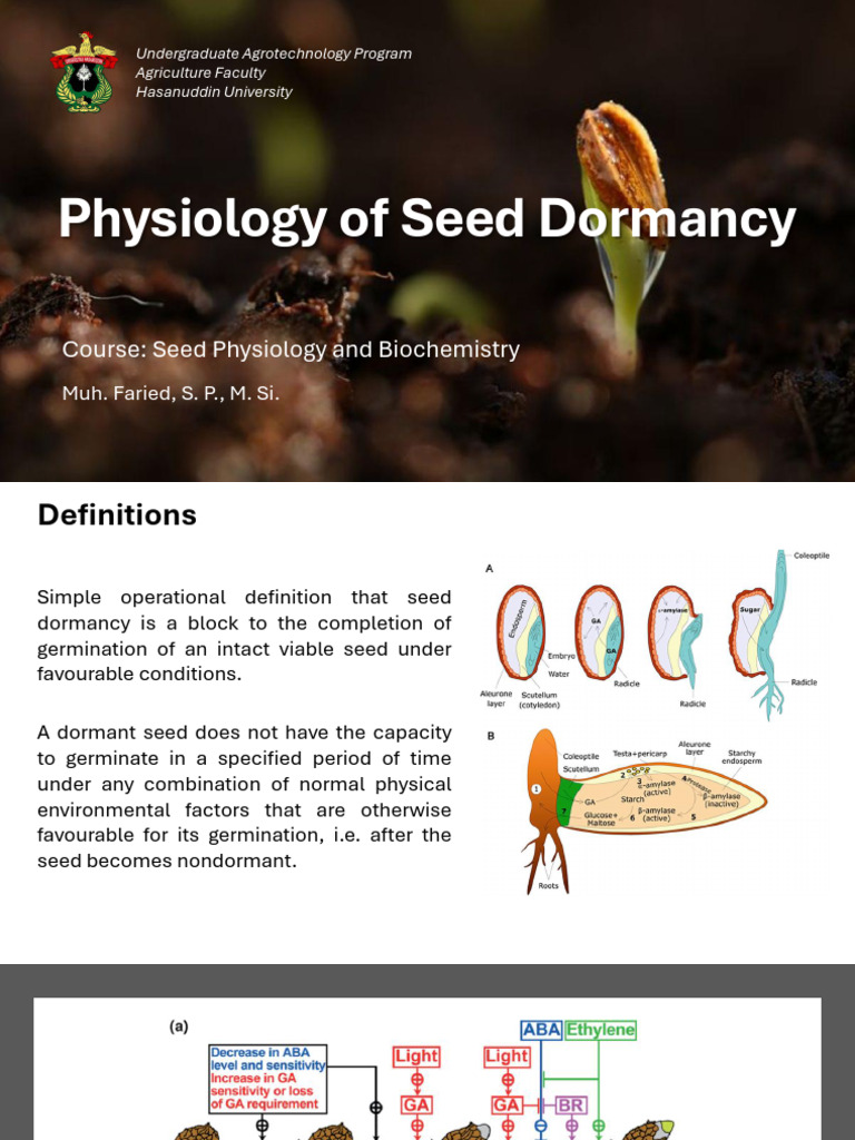 Physiology of Seed Dormancy-FISBEN 2025 | PDF | Seed | Germination