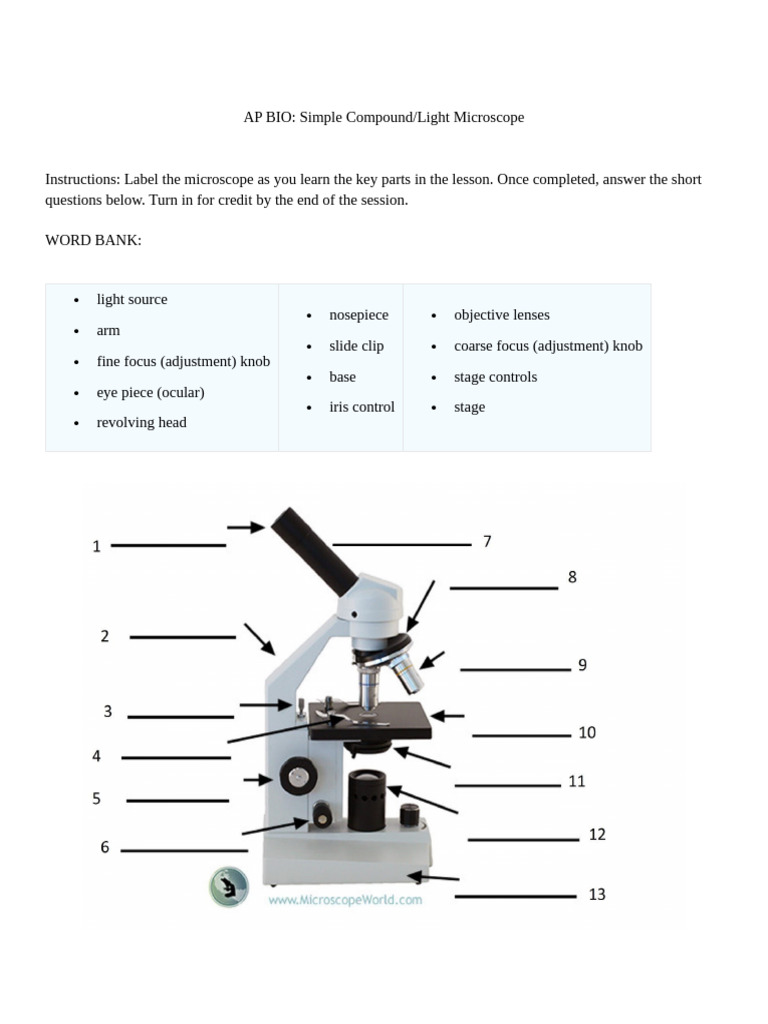 AP BIO Micro Review Assignment | PDF | Glass Engineering And Science ...