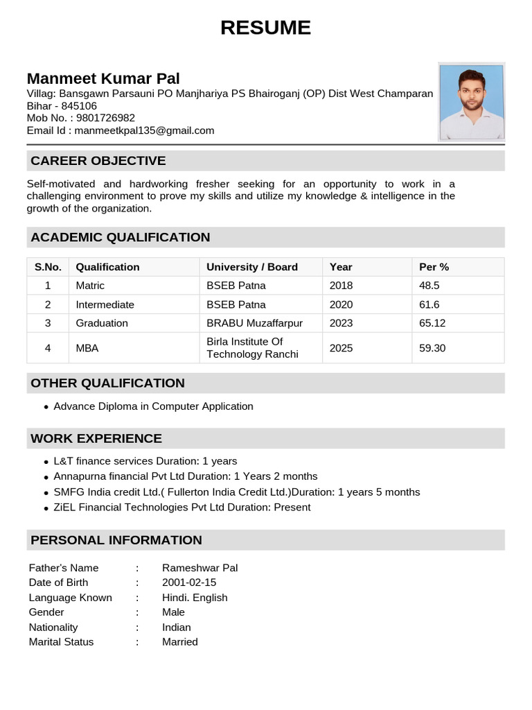 Manmeet Kumar Pal CV | PDF