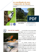 Primer Censo Coordinado de Aves en Los Noguerales de Nerpio 