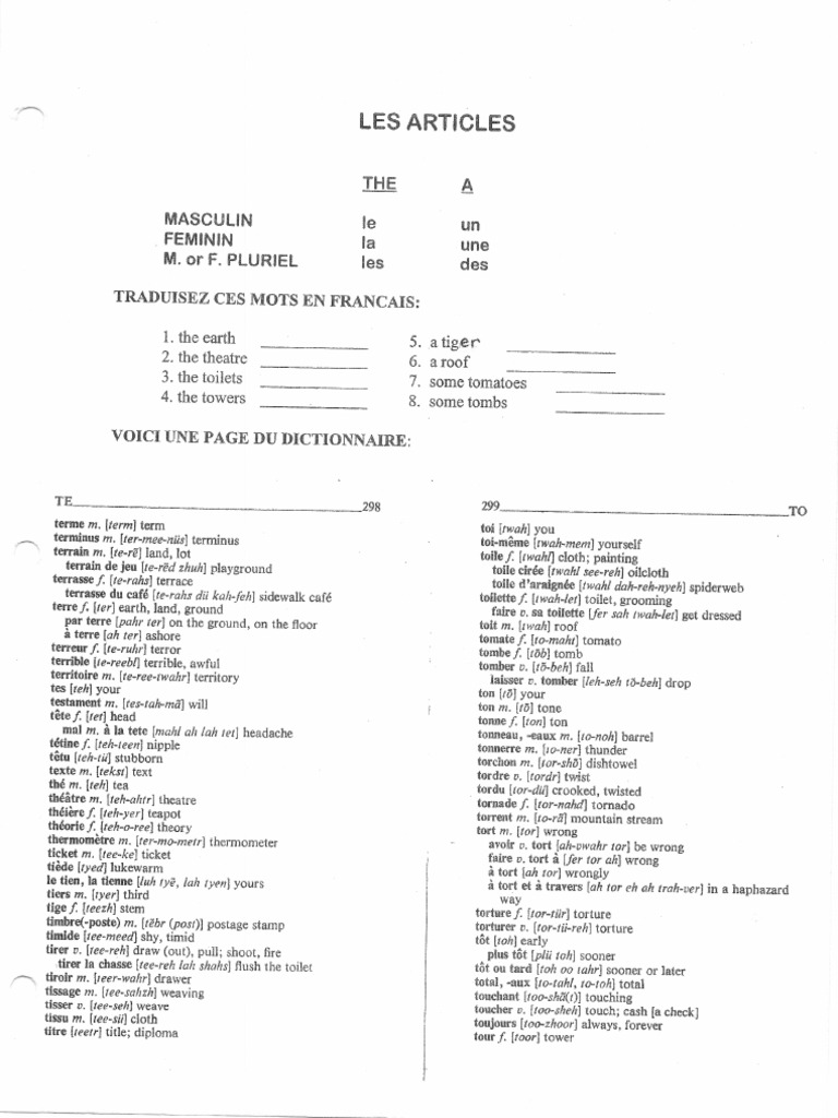 French Grammar - Les Articles | PDF