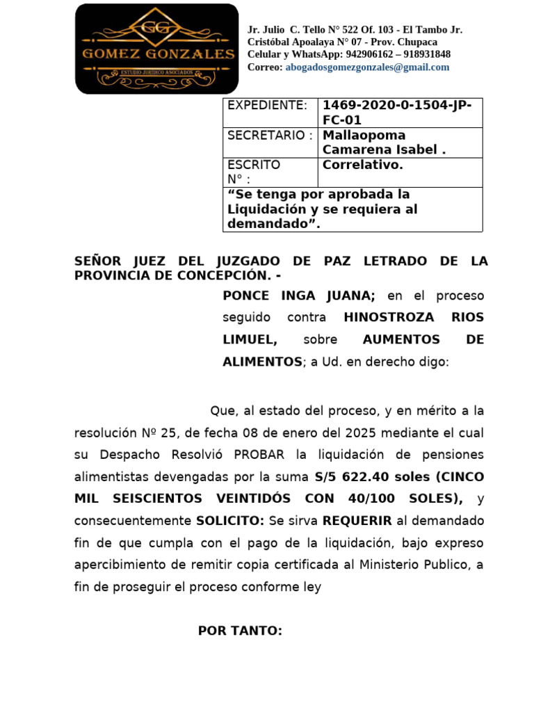 Apruebo y Requiero | PDF