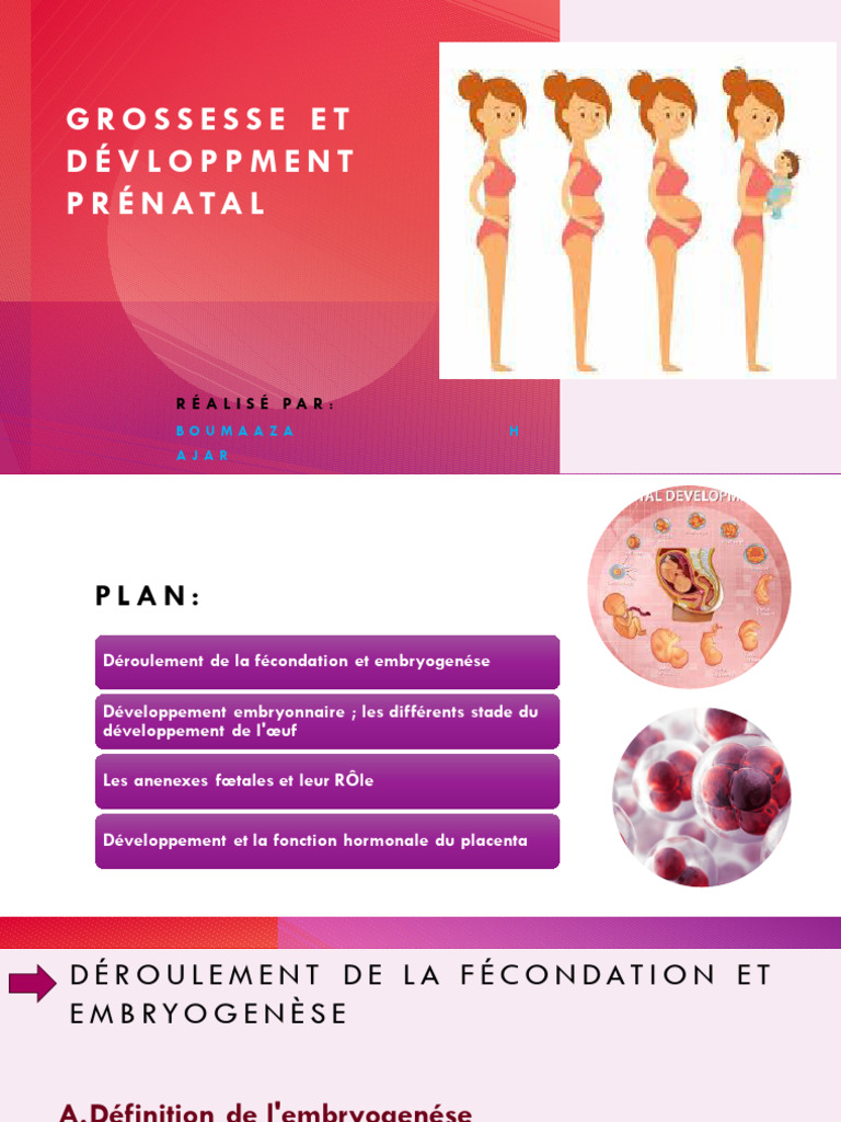 Développement embryonnaire et grossesse | PDF | Placenta | la reproduction