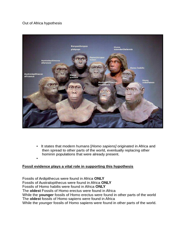 Out of Africa Hypothesis Explained | PDF