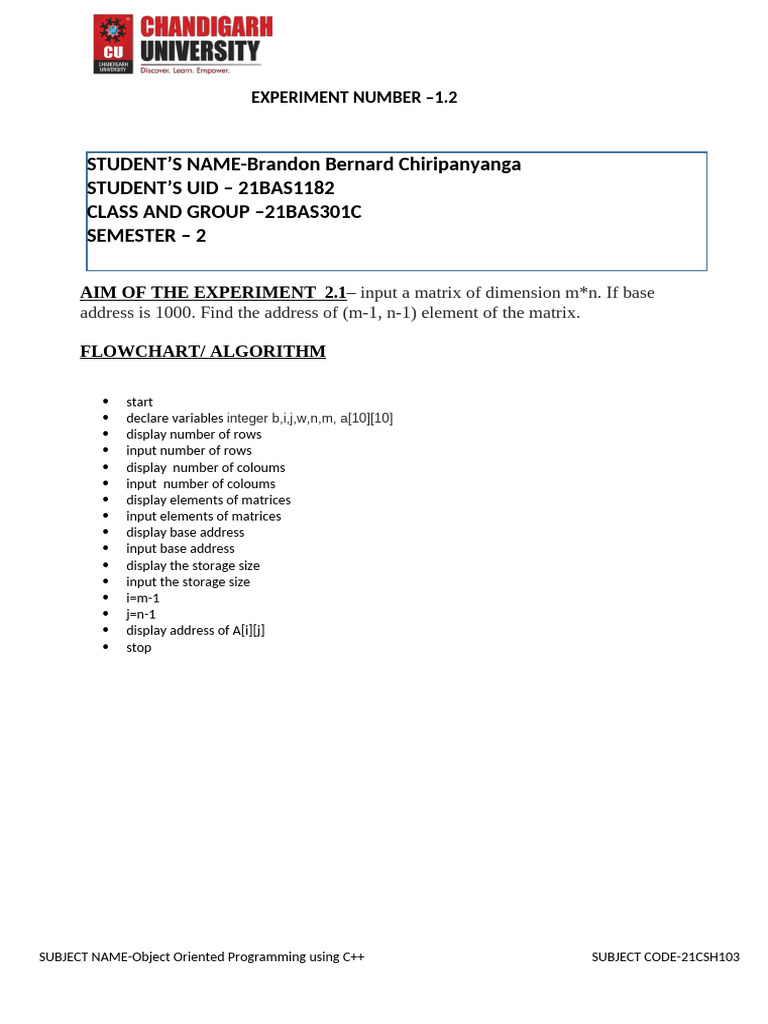 Object-Oriented Programming Lab Report | PDF | Matrix (Mathematics) | C++