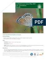 Cayman Islands National Biodiversity Action Plan 2009 3.T.2.2 Terrestrial Species - Invertebrates Cayman Pygmy Blue Butterfly