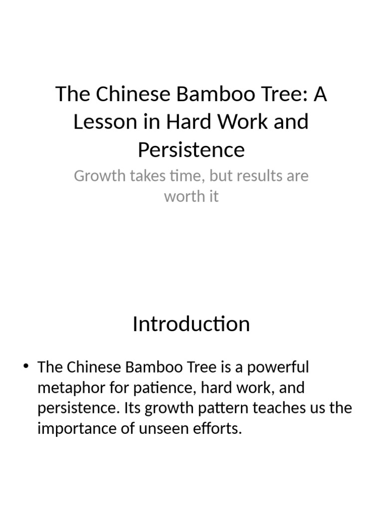 Chinese Bamboo Tree: Patience & Growth | PDF