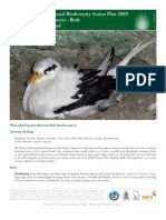 Cayman Islands National Biodiversity Action Plan 2009 3.T.4.1 Terrestrial Species - Birds White-Tailed Tropicbird