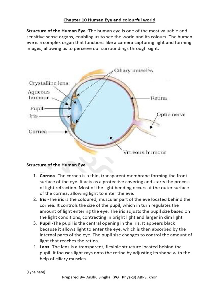 Myopia and Hypermetropia Explained | PDF | Eye | Human Eye