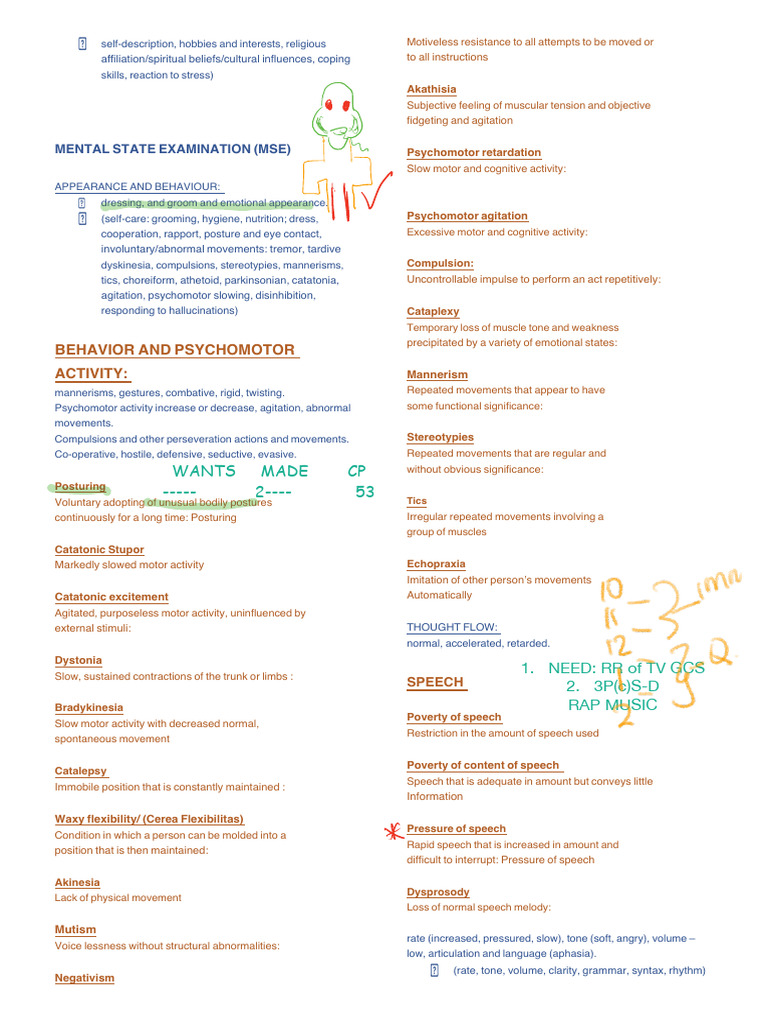 Mental State Examination Overview | PDF