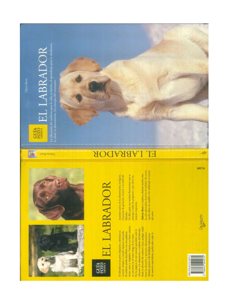 El Labrador 2 | PDF