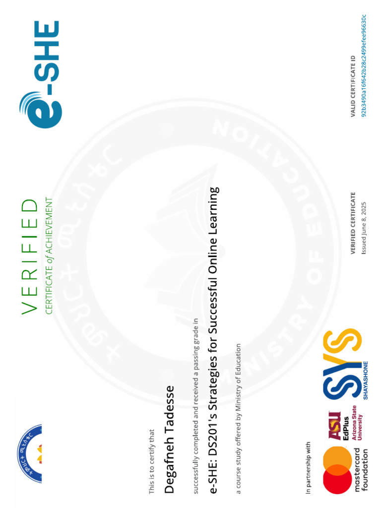 E-She Successful e Learning Certificate | PDF