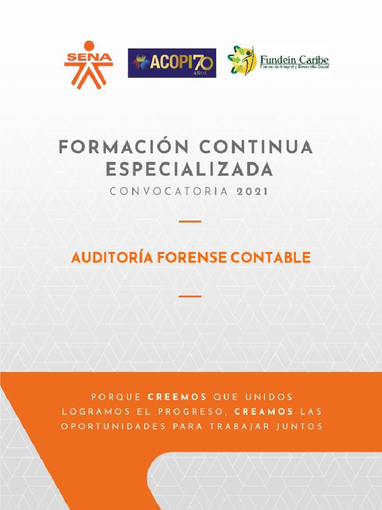 Principios de Auditoría Contable Financiera | PDF | Auditoría ...