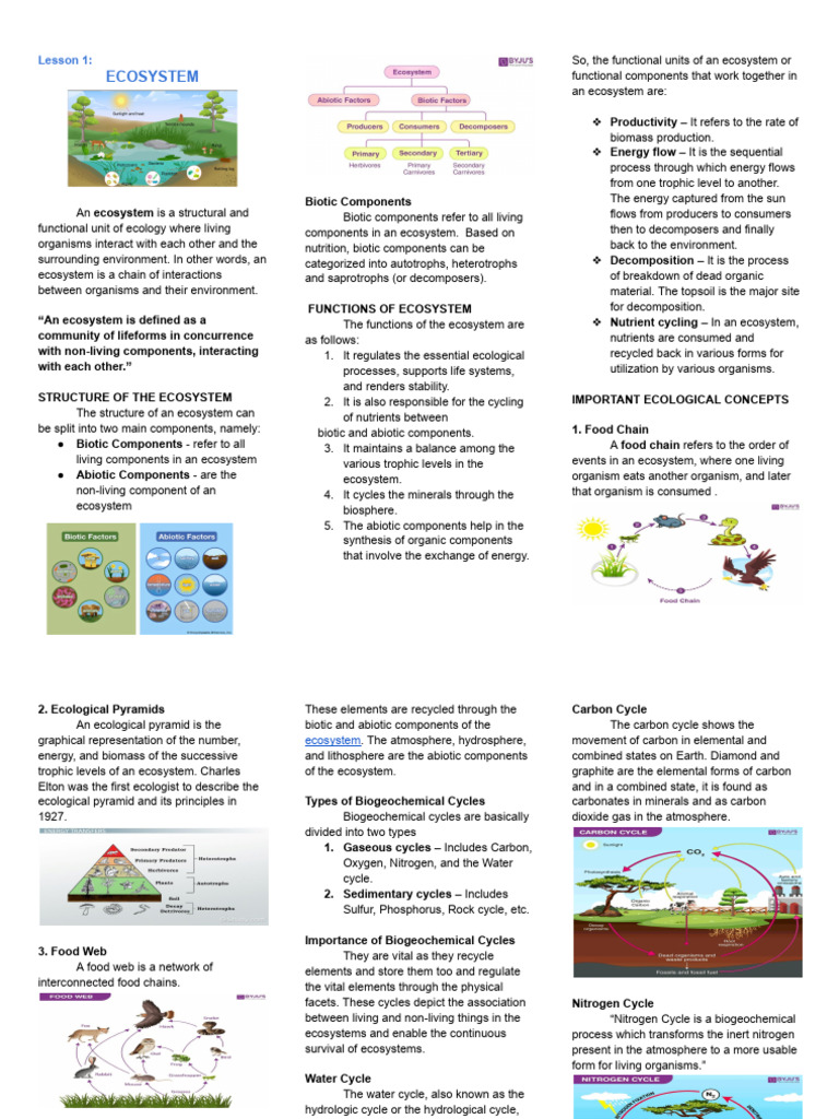 Understanding Ecosystems and Biodiversity | PDF | Ecosystem | Ecology