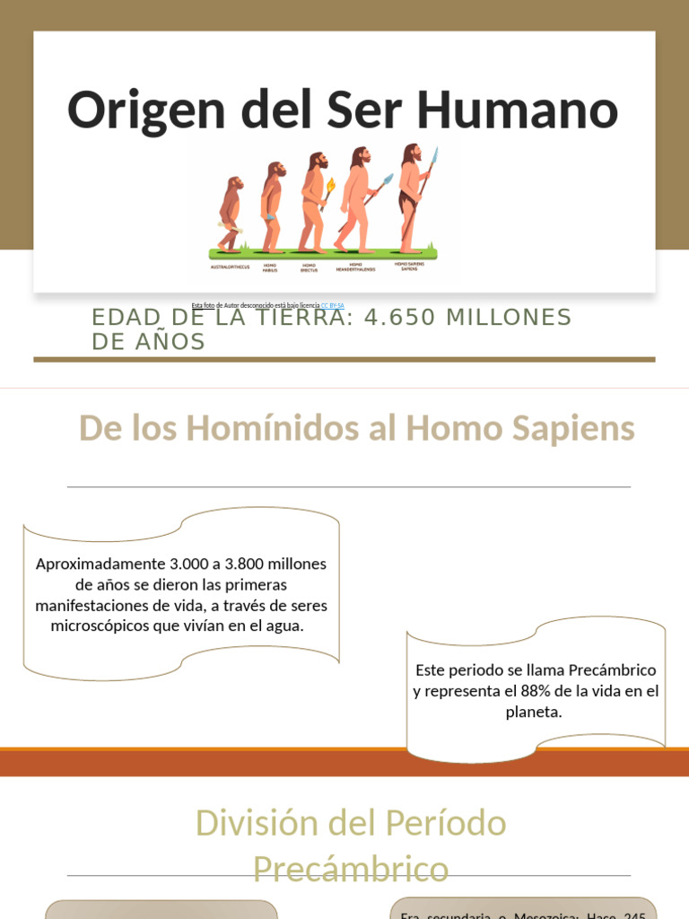 Evolución del Ser Humano y la Tierra | PDF | Homo | Humano