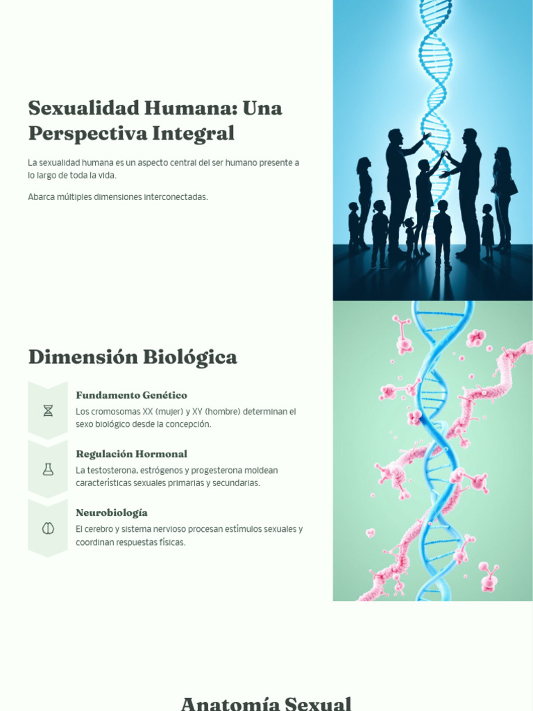 Dimensiones de la Sexualidad Humana | PDF | La sexualidad humana | Sexo