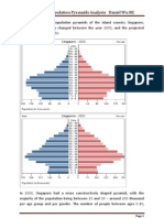 Population Pyramids Analysis - Singapore Daniel Wu