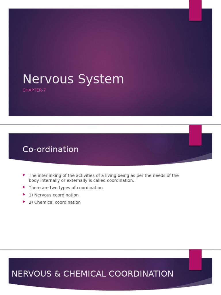 Ch-7 Nervous System | PDF