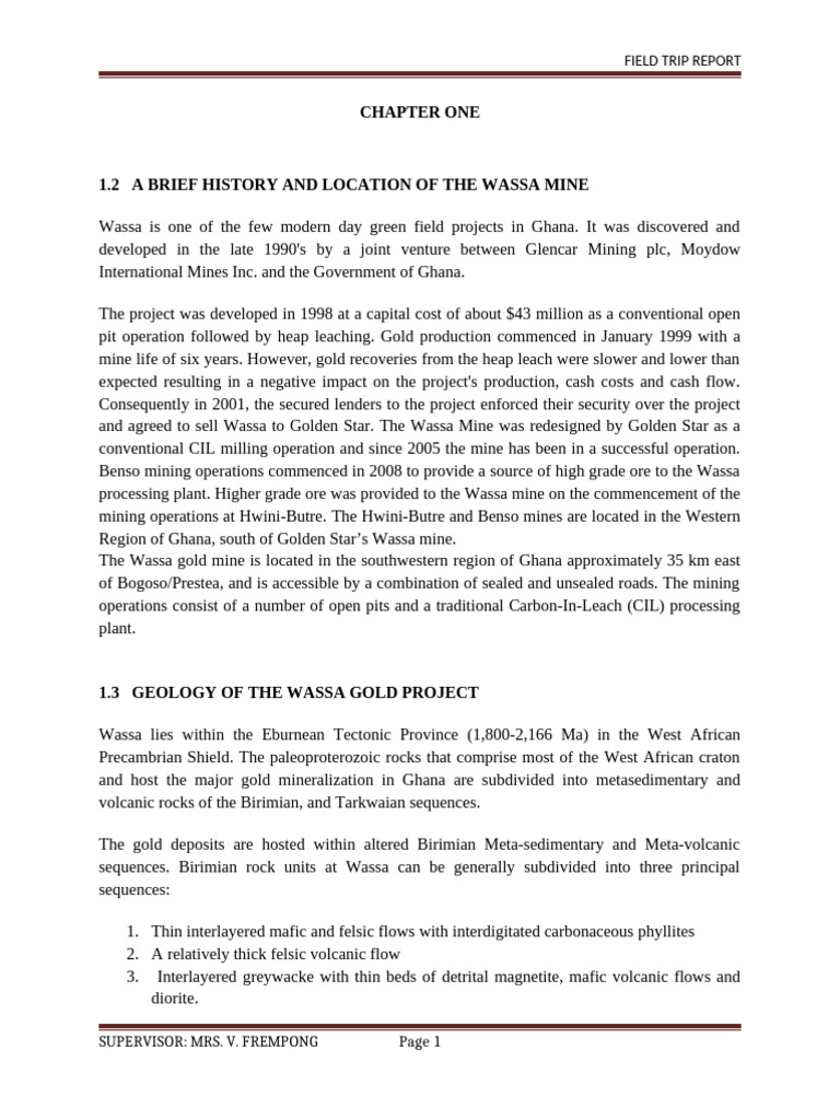 Overview of Wassa Gold Mine Operations | PDF | Mill (Grinding) | Adsorption