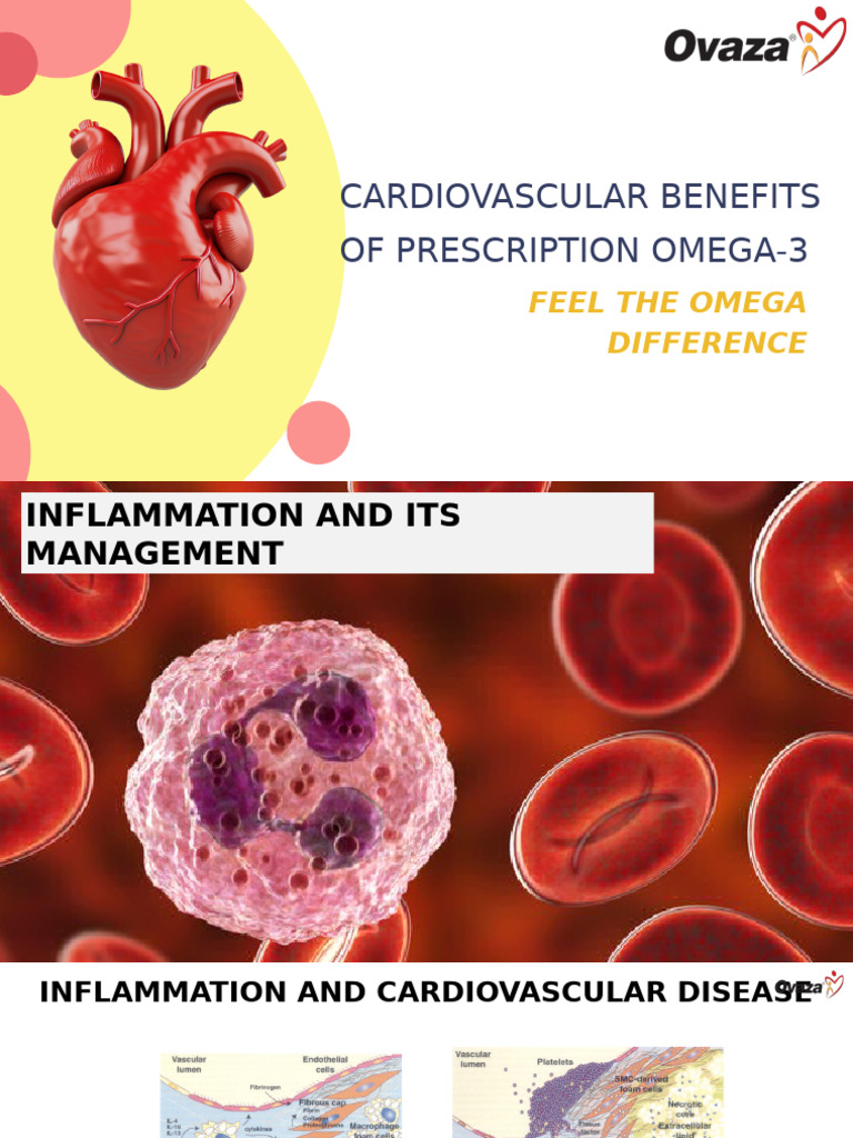 Omega-3's Role in Cardiovascular Health | PDF | Omega 3 Fatty Acid ...