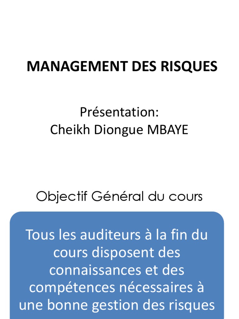 Management des Risques et Normes CDM | PDF | Gestion des risques | Risque