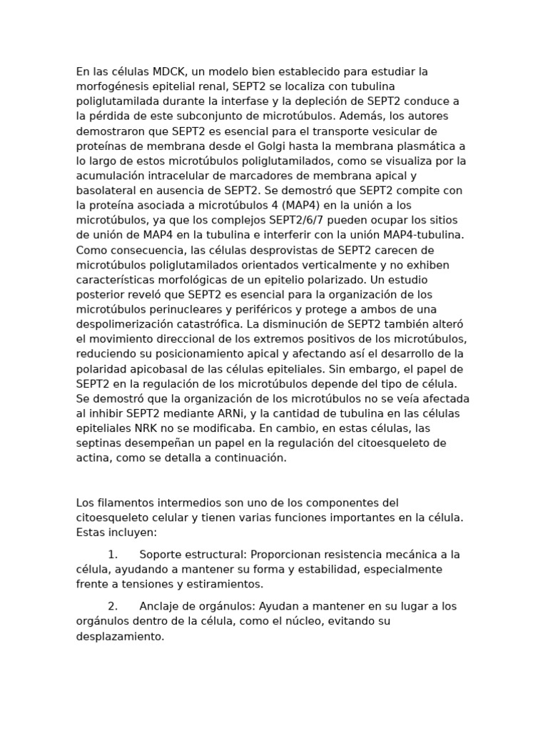 Septinas | PDF | Microtúbulos | Biología Celular)