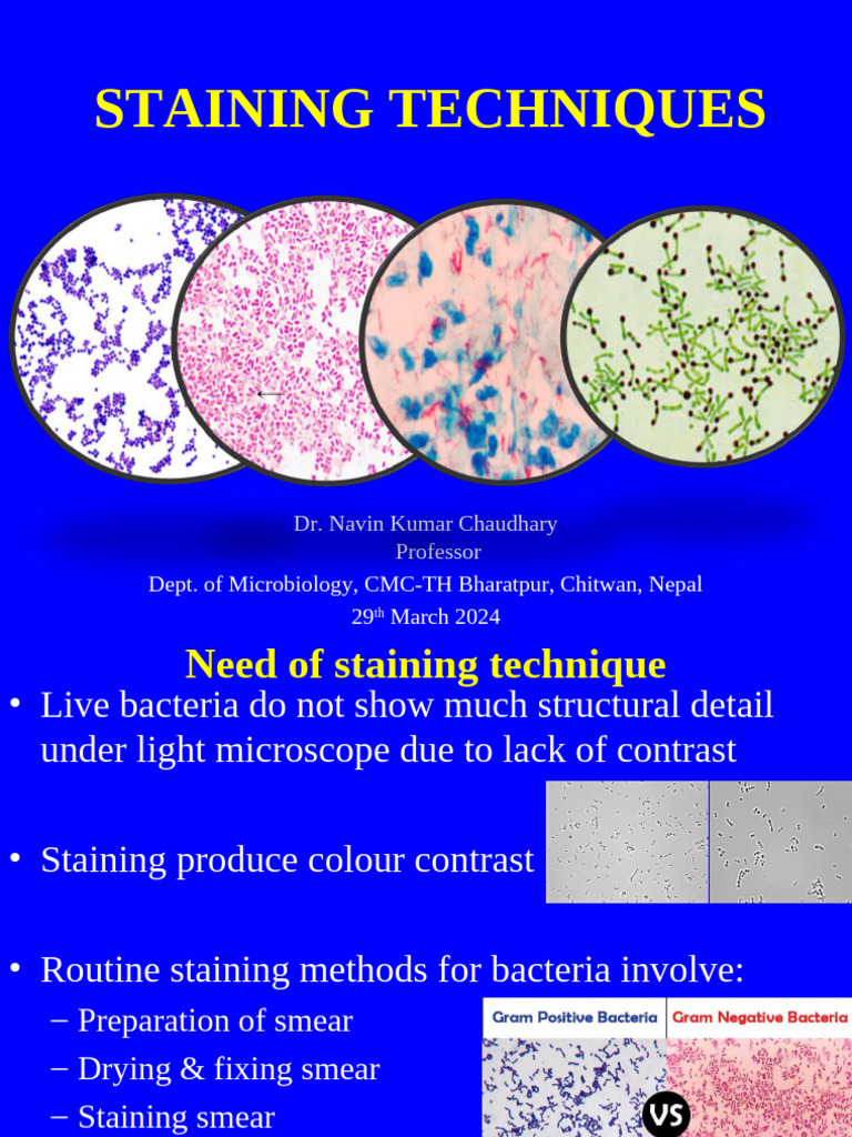 Staining Techniques in Microbiology | PDF | Staining | Gram Positive ...