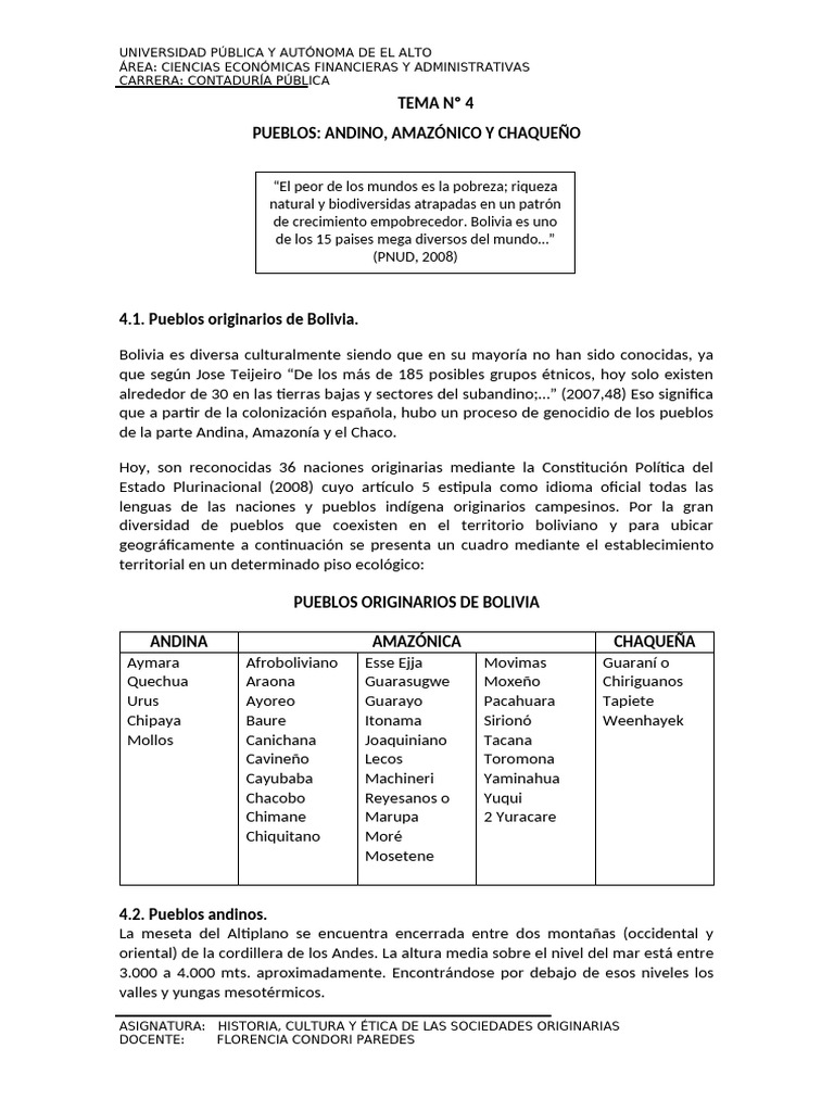 Pueblos Originarios de Bolivia: Diversidad Cultural | PDF | Bolivia ...