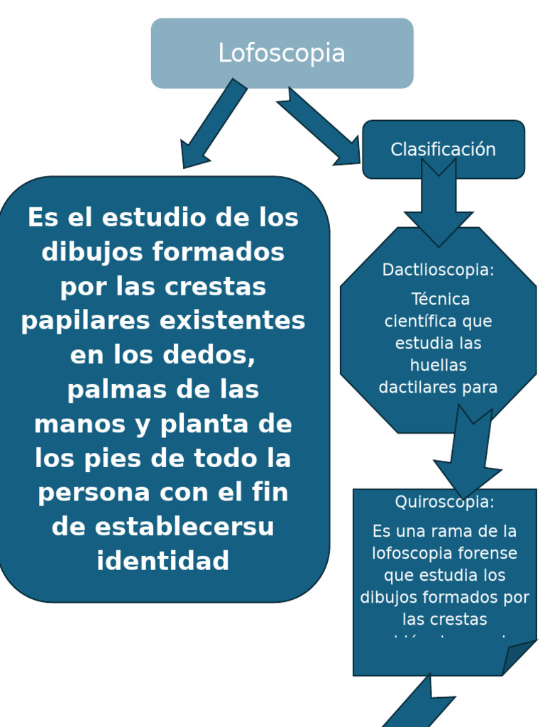 218552s, image size:768x1024