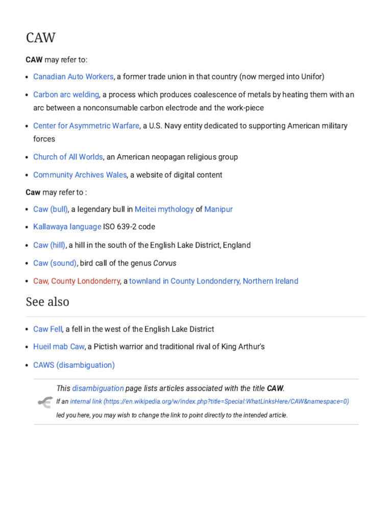 CAW: Disambiguation Overview | PDF