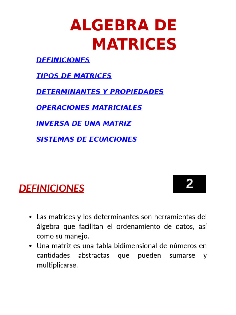11d. ALGEBRA DE MATRICES 4 | PDF | Matriz (Matemáticas) | Determinante