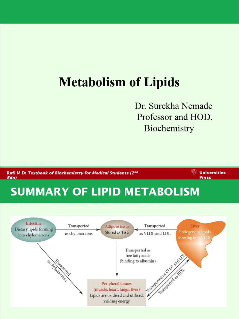 Overview of Lipid Metabolism Processes | PDF | Lipoprotein | Ketosis