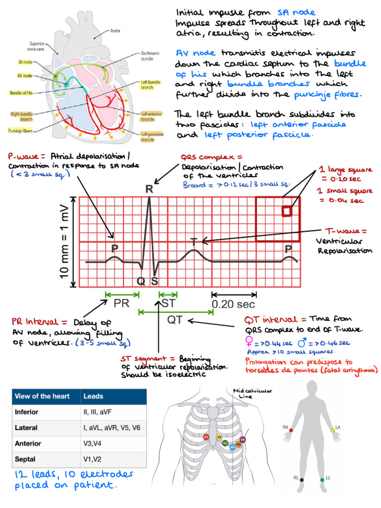 12-Lead EKG Interpretation Guide | PDF | Electrocardiography | Heart