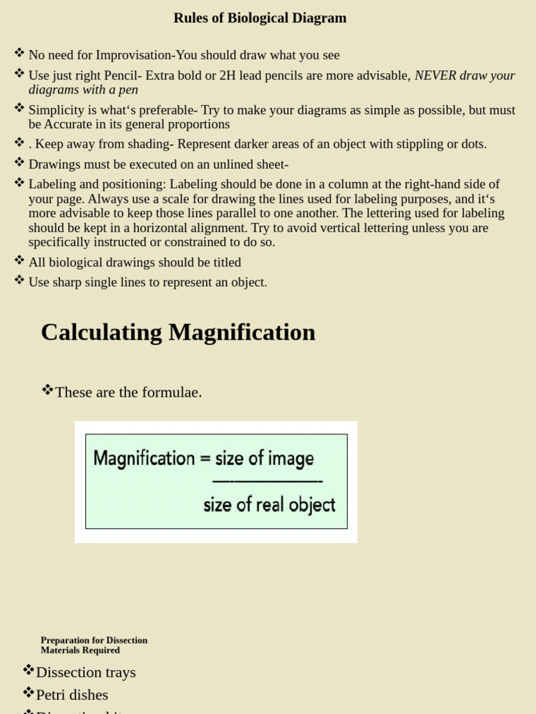 Guidelines for Biological Diagrams and Dissection | PDF | Drawing