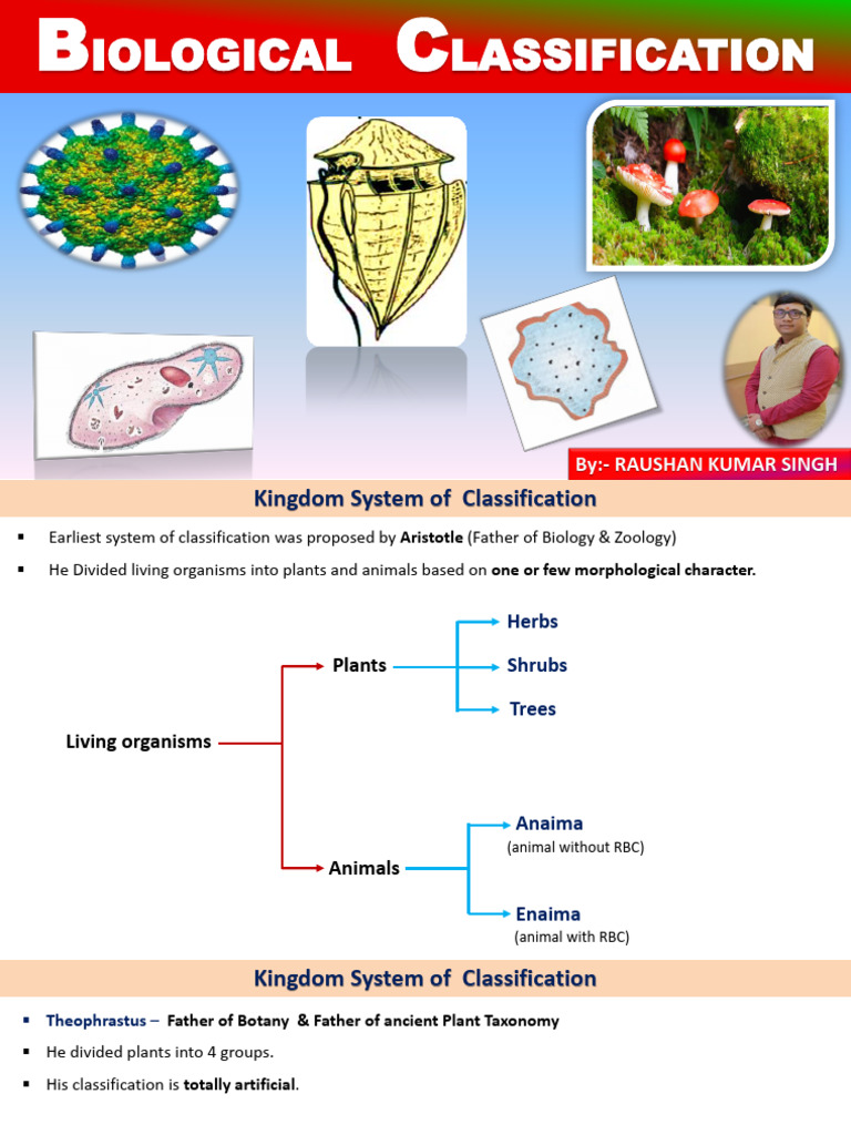 Overview of Biological Classification Systems | PDF | Bacteria | Fungus