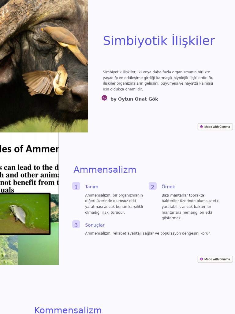 simbiyotik-iliskiler-pdf