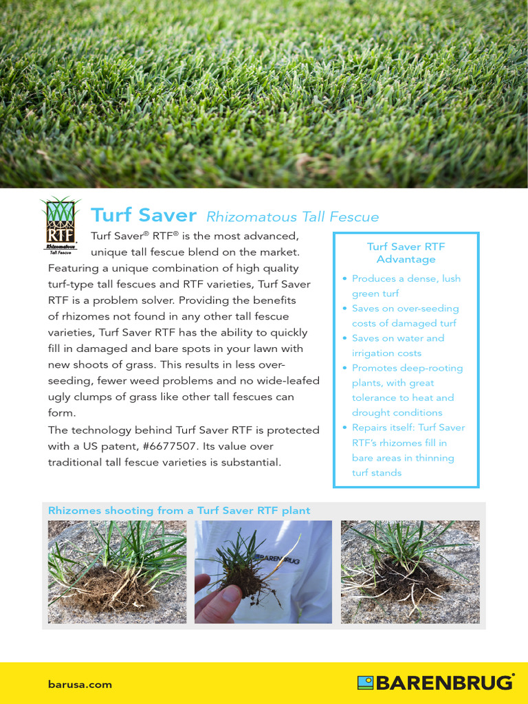 Turf Saver RTF: Advanced Fescue Grass | PDF | Agriculture | Botany