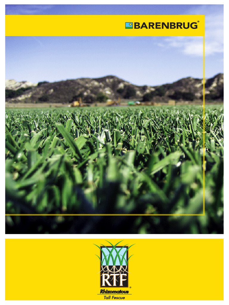 RTF® Turf: Advanced Rhizome Benefits | PDF | Sod | Plants